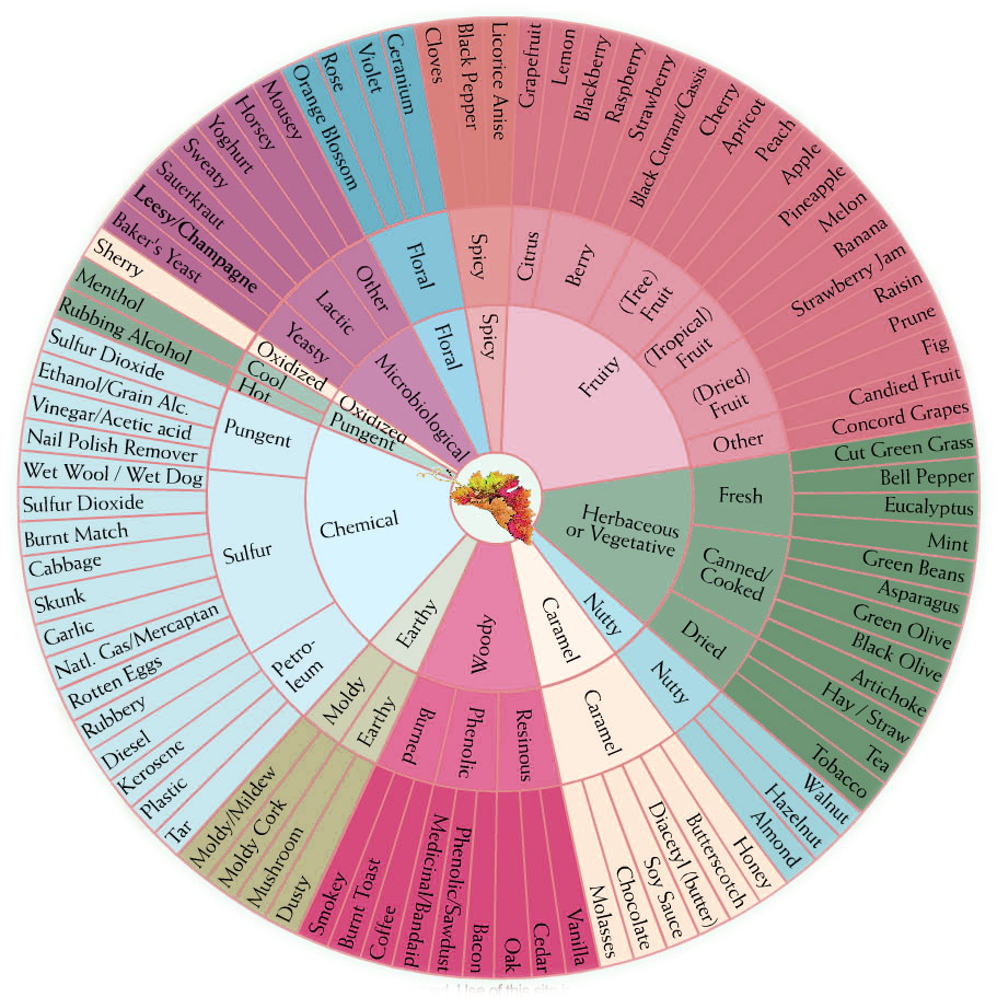 wine tasting chart