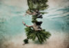 Cassie Pali - Maui Underwater Art