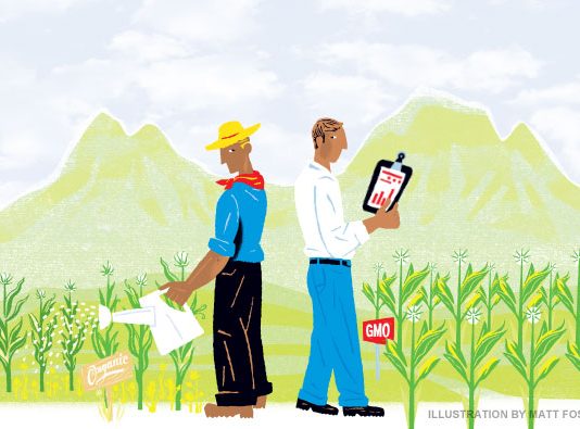 GMO crops illustration