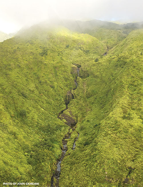 Maui waterfalls