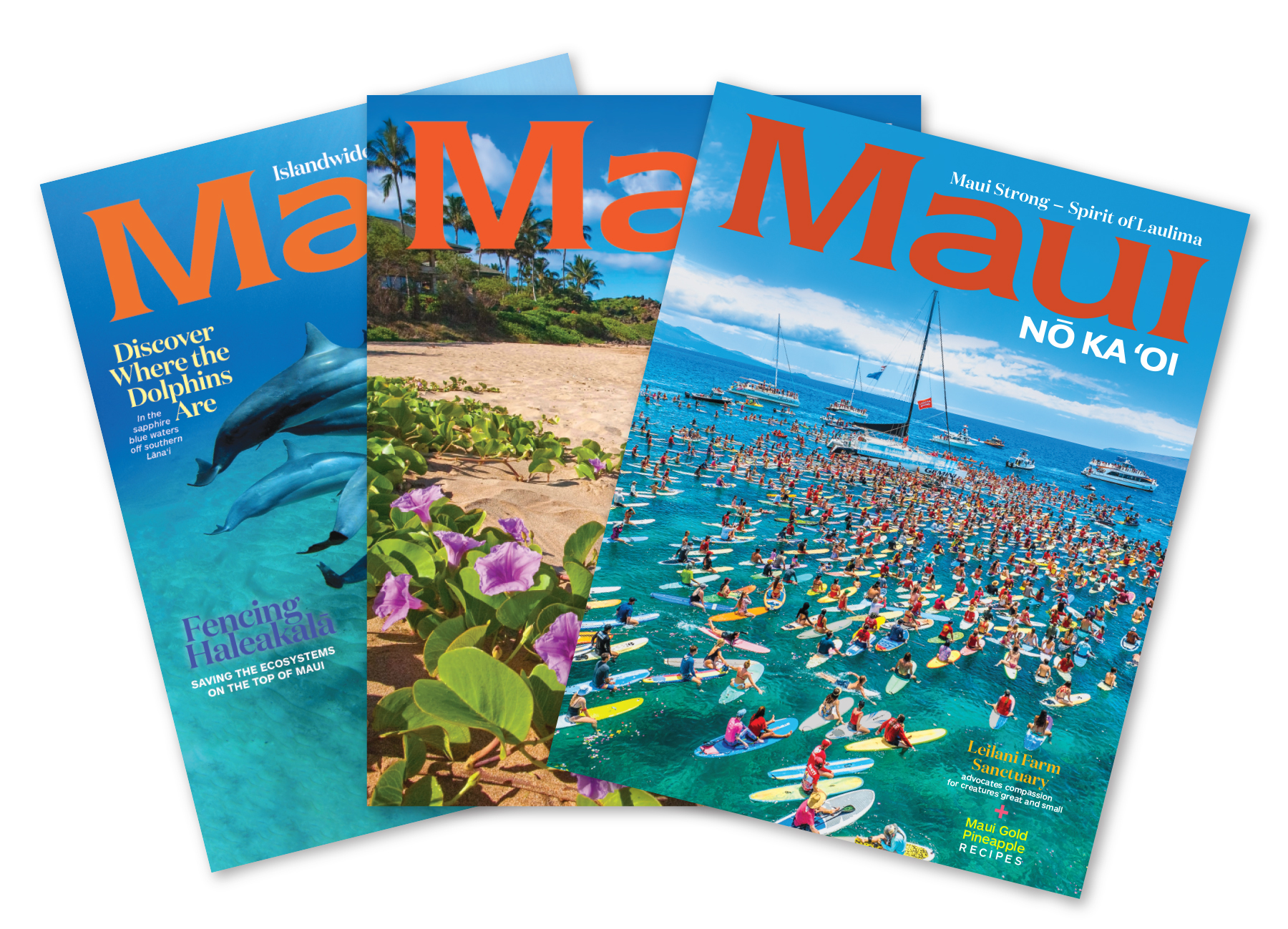 Maui　Subscription　No　Oi　Ka　'Oi　Magazine　Magazine　Maui　Nō　Ka