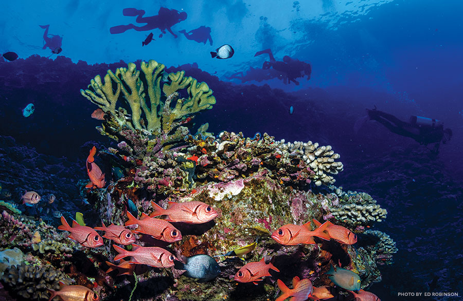 scuba diving maui hawaii