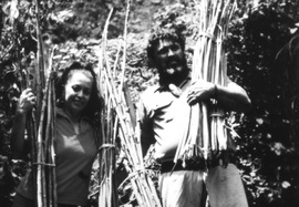 Pua and Sam Ka‘ai returning from ‘Iao Valley with root stock for planting and sticks for immediate use.