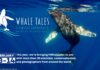whale tales 2021