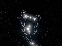 constellation scorpio