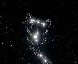 constellation scorpio