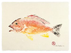 gg-gyotaku-fish-print-debra-lumpkins