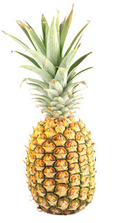 Maui pineapples