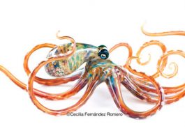 handblown glass octopus