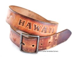 Hawaii belt