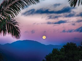 hawaiian moon calendar