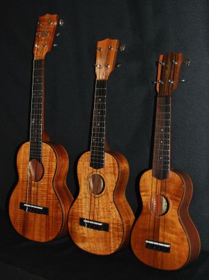 maui ukulele lessons