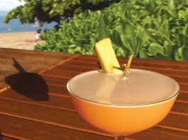 tropical cocktail recipe ideas