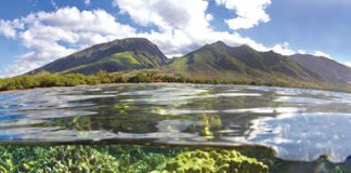 Olowalu Maui snorkel spots