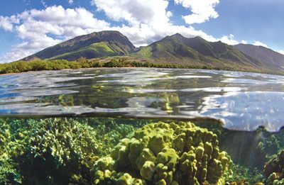 Olowalu Maui snorkel spots