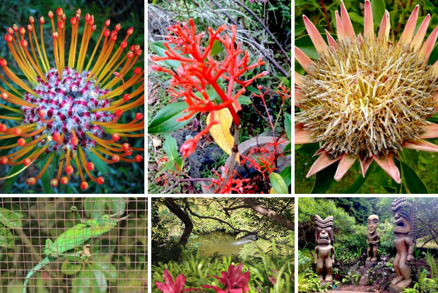 Kula Botanical Garden Maui Botanical Gardens