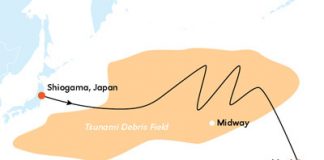 Japan tsunami debris chart