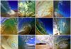 maui ocean waves collage