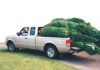 xmas tree truck