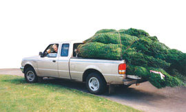xmas tree truck